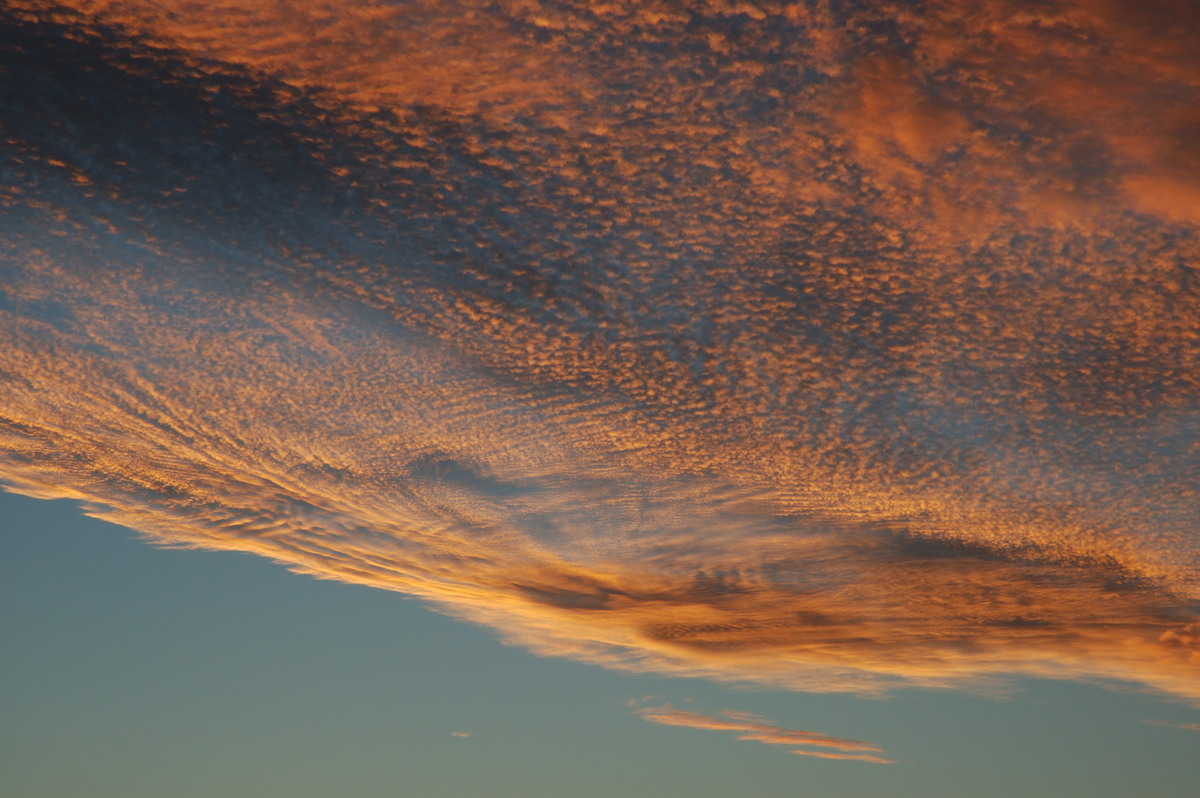 altocumulus altocumulus_cloud : McLeans Ridges, NSW   12 August 2007