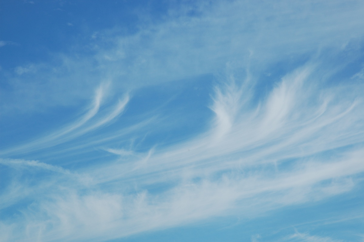 cirrus cirrus_cloud : McLeans Ridges, NSW   28 August 2007