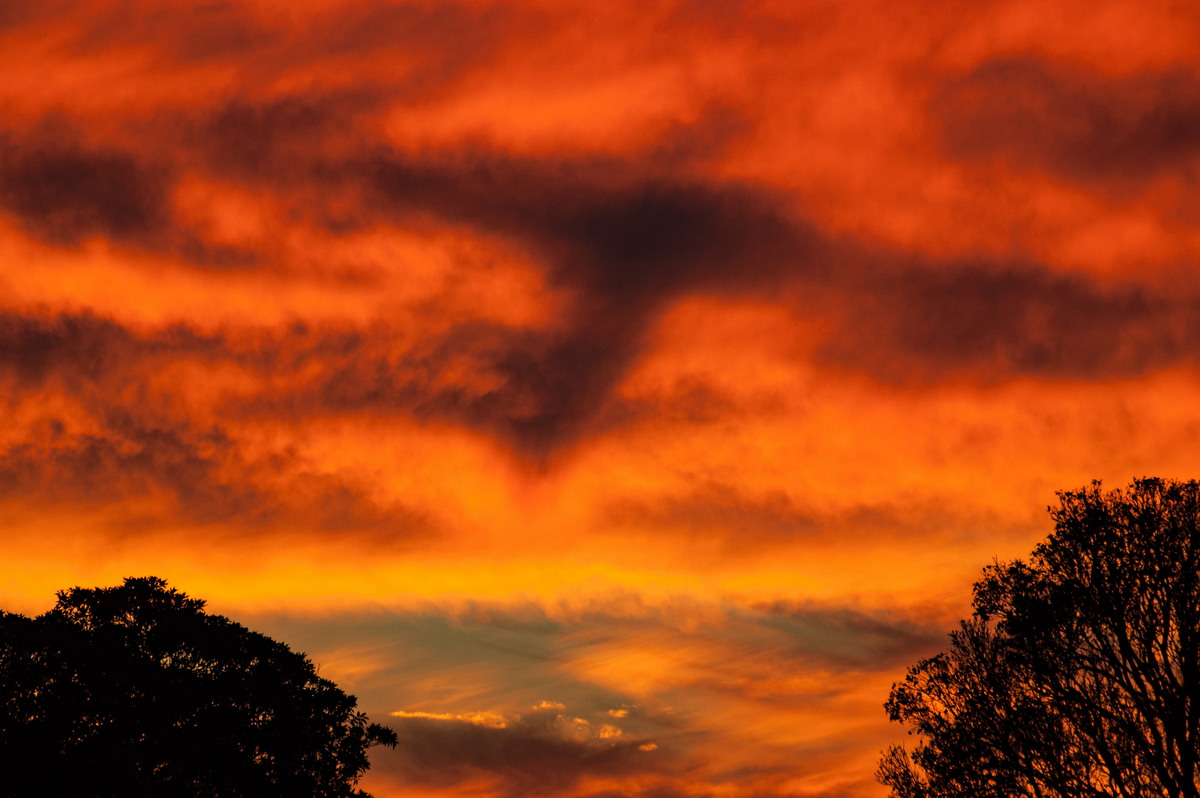 sunset sunset_pictures : McLeans Ridges, NSW   28 August 2007