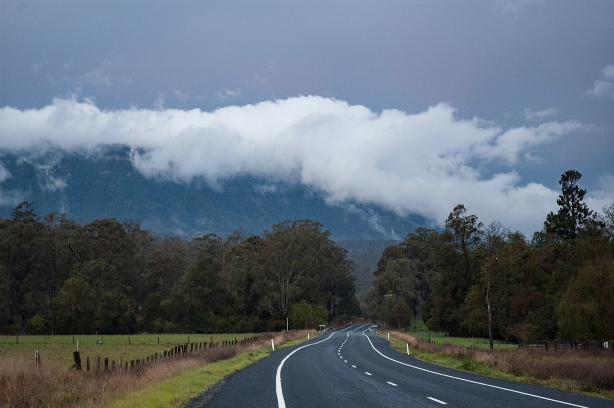 stratus stratus_cloud : near Wiangaree, NSW   22 September 2007