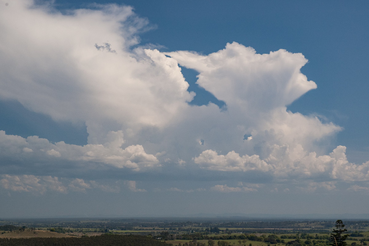 thunderstorm cumulonimbus_calvus : Tregeagle, NSW   6 October 2007