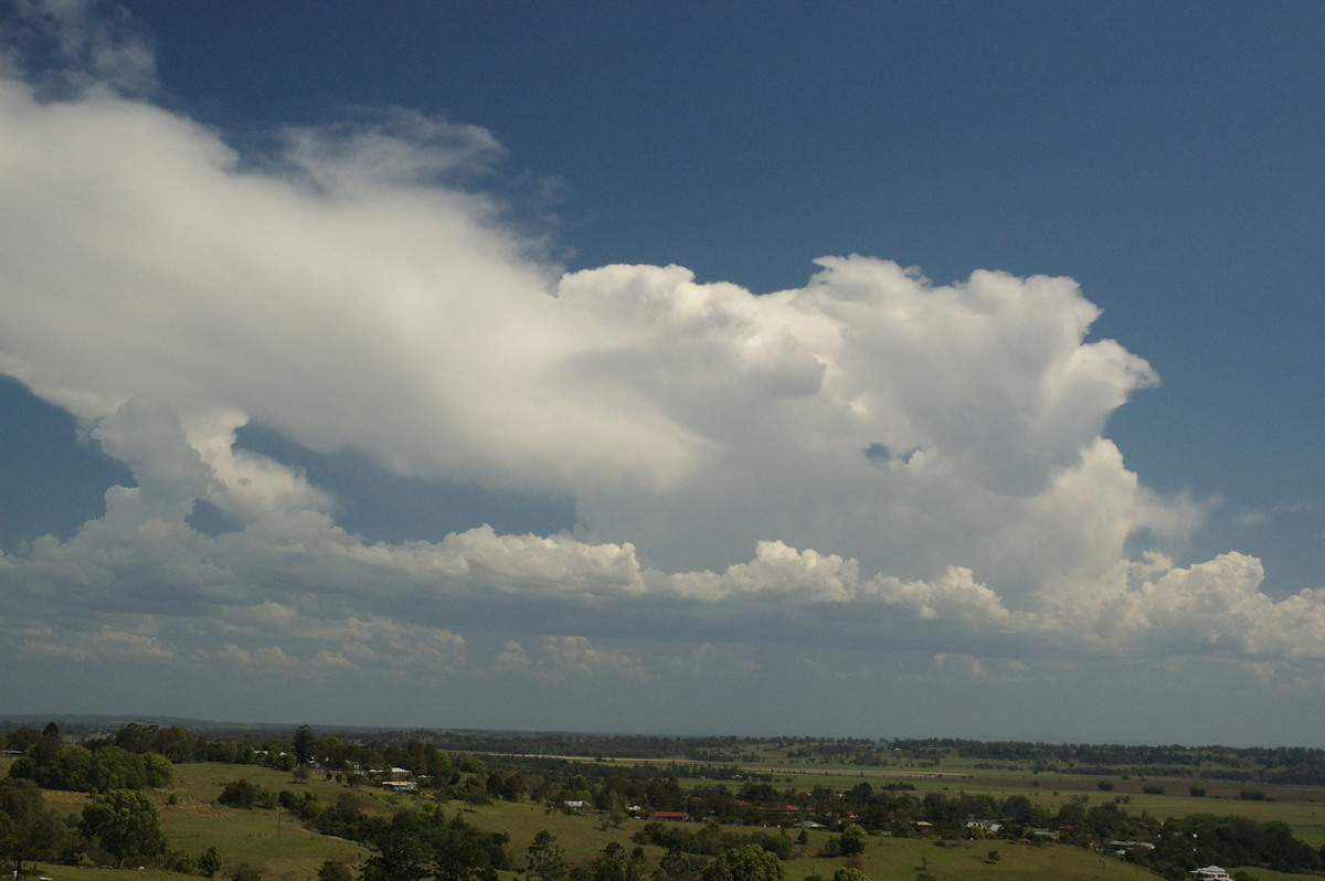 thunderstorm cumulonimbus_calvus : Wyrallah, NSW   6 October 2007