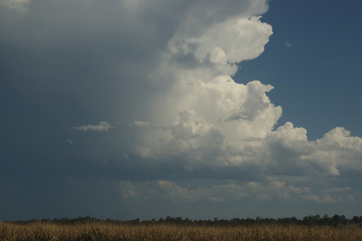 updraft thunderstorm_updrafts : Ruthven, NSW   6 October 2007