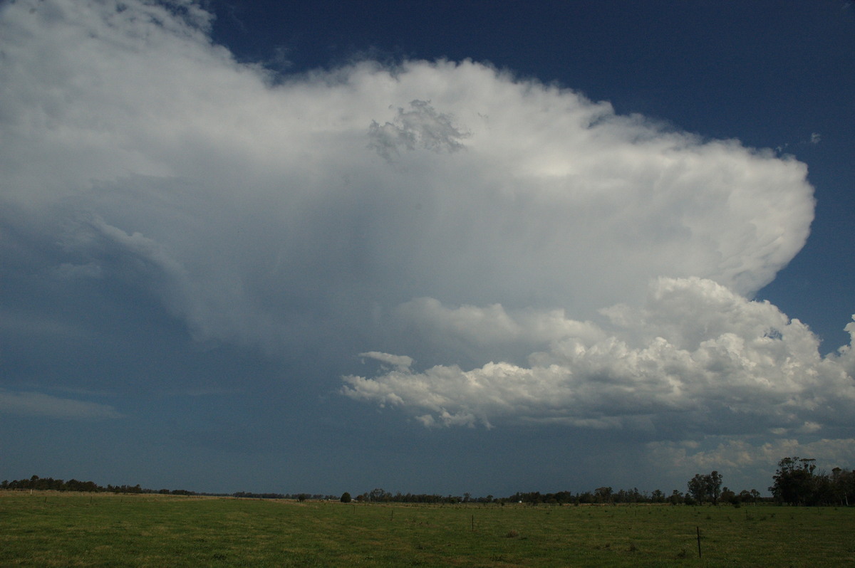 anvil thunderstorm_anvils : Ruthven, NSW   6 October 2007