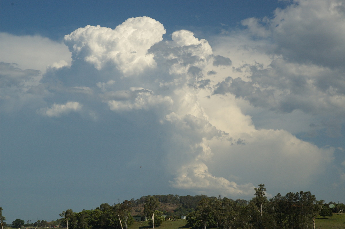 thunderstorm cumulonimbus_calvus : near Lismore, NSW   6 October 2007