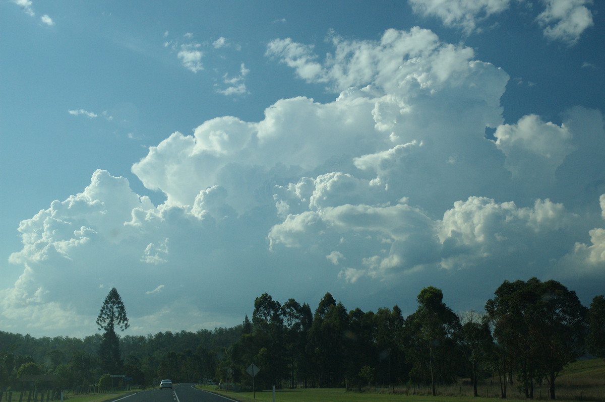 thunderstorm cumulonimbus_calvus : Border Ranges, NSW   6 October 2007