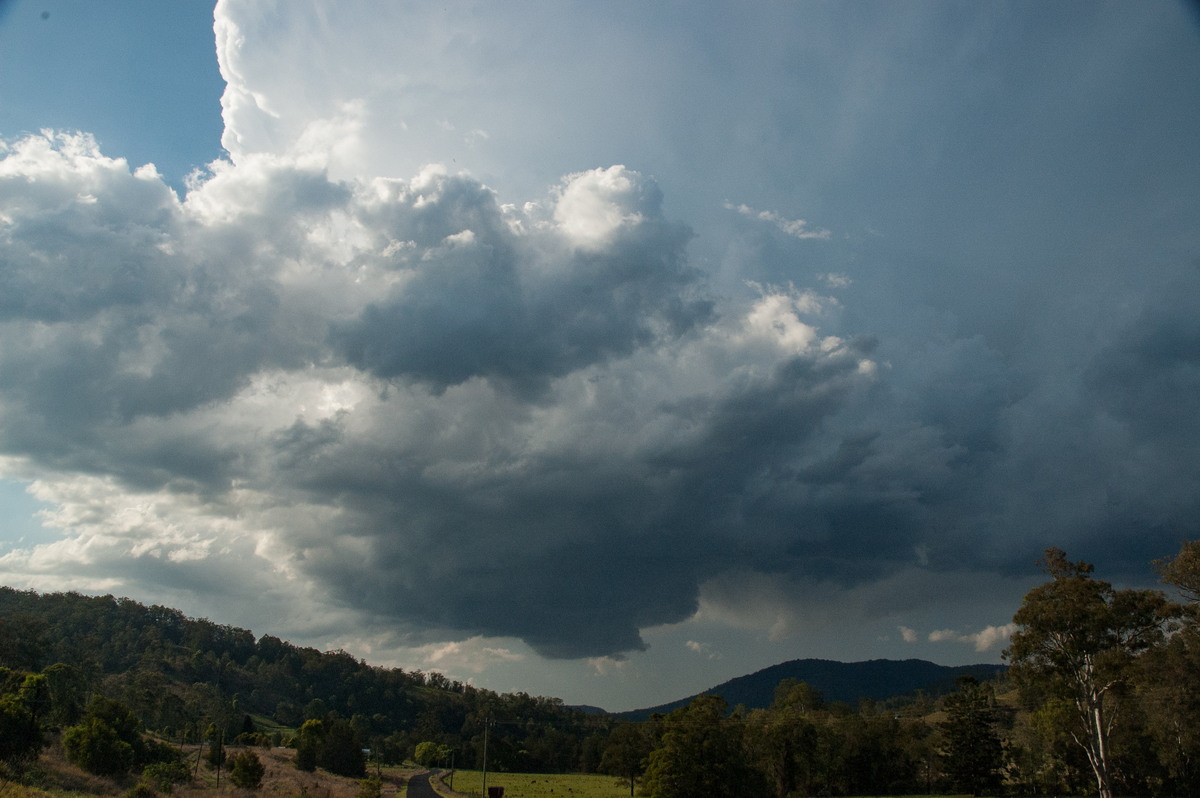 cumulonimbus thunderstorm_base : Border Ranges, NSW   6 October 2007