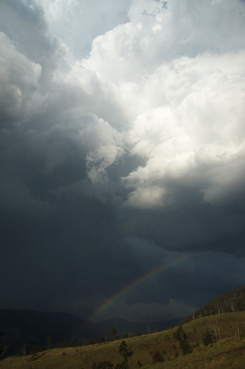 rainbow rainbow_pictures : Border Ranges, NSW   6 October 2007