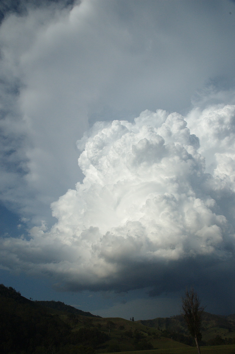 updraft thunderstorm_updrafts : Border Ranges, NSW   6 October 2007