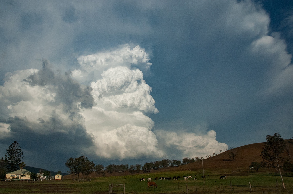 updraft thunderstorm_updrafts : near Rathdowney, QLD   6 October 2007