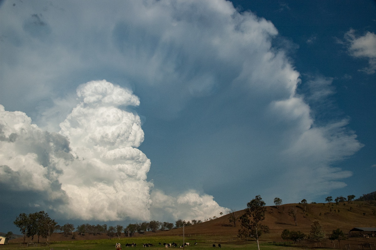 anvil thunderstorm_anvils : near Rathdowney, QLD   6 October 2007