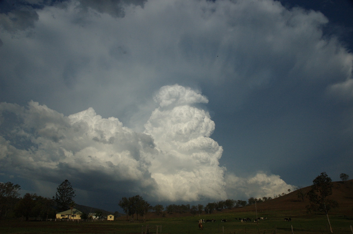 thunderstorm cumulonimbus_incus : near Rathdowney, QLD   6 October 2007