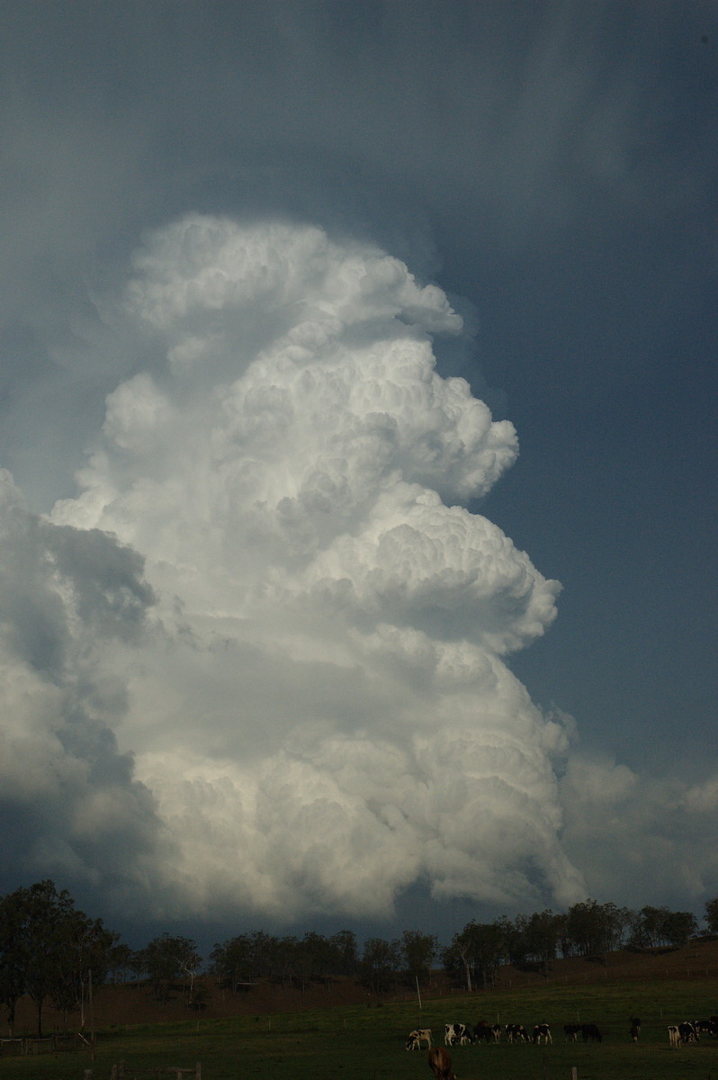 updraft thunderstorm_updrafts : near Rathdowney, QLD   6 October 2007