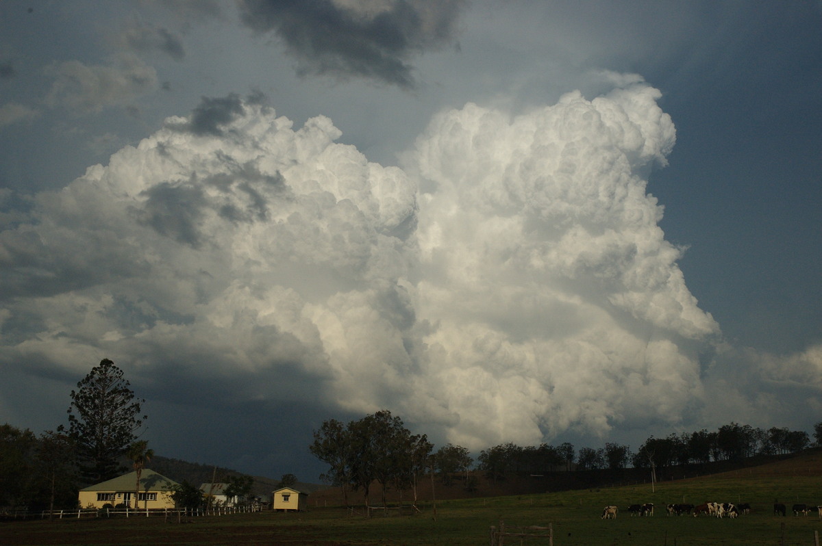 updraft thunderstorm_updrafts : near Rathdowney, QLD   6 October 2007