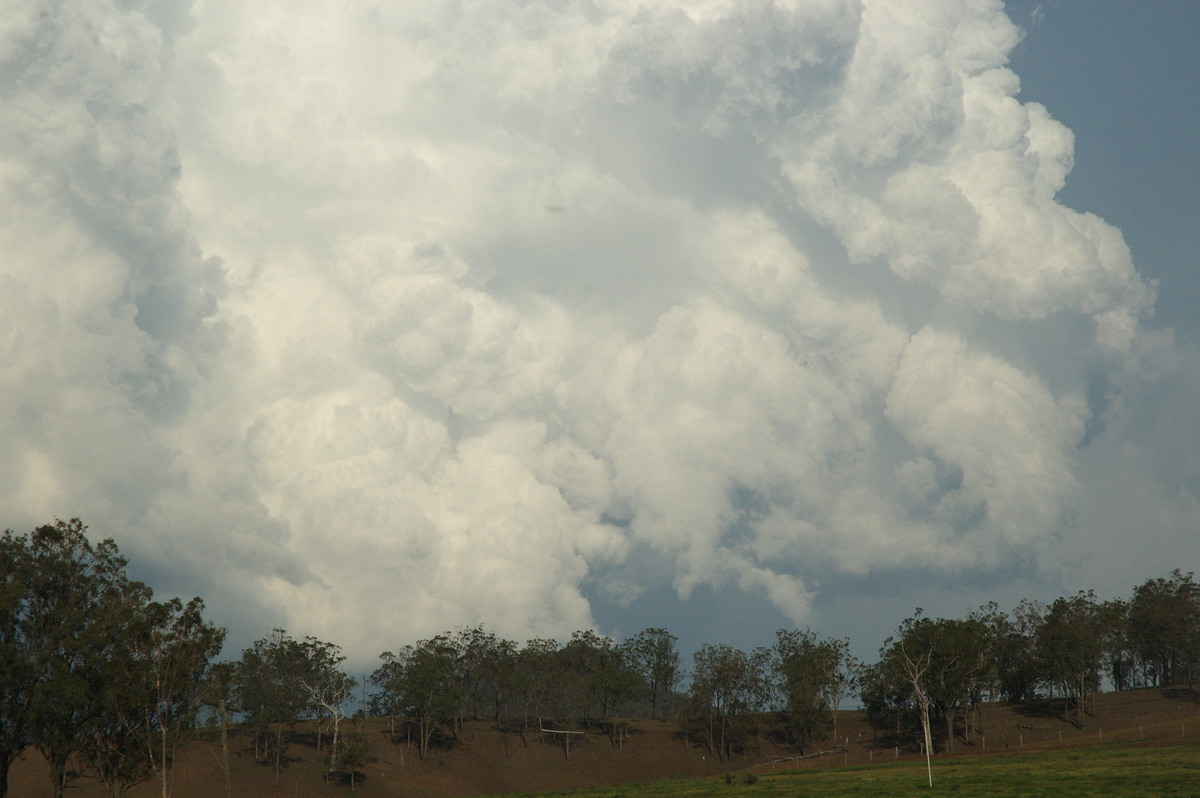 updraft thunderstorm_updrafts : near Rathdowney, QLD   6 October 2007