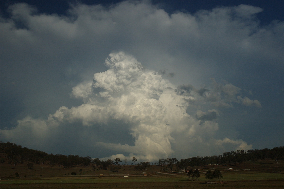 updraft thunderstorm_updrafts : near Rathdowney, QLD   6 October 2007