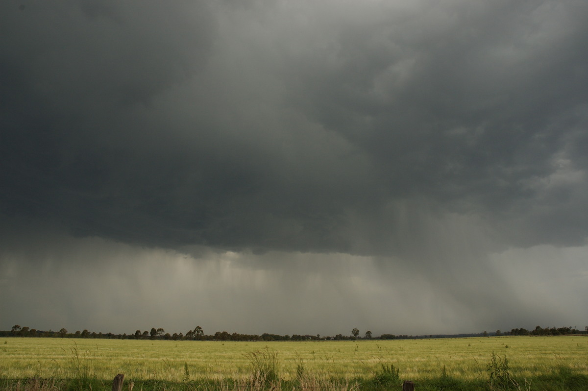 cumulonimbus thunderstorm_base : N of Casino, NSW   7 October 2007