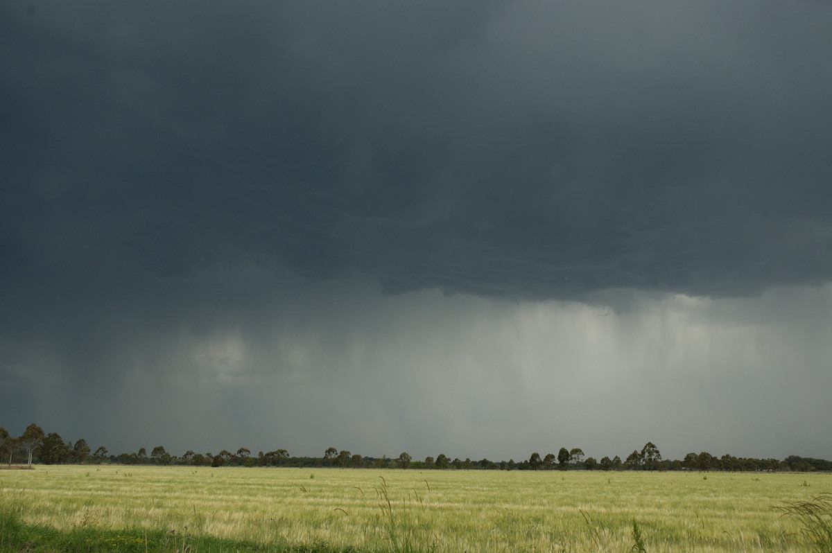 cumulonimbus thunderstorm_base : N of Casino, NSW   7 October 2007