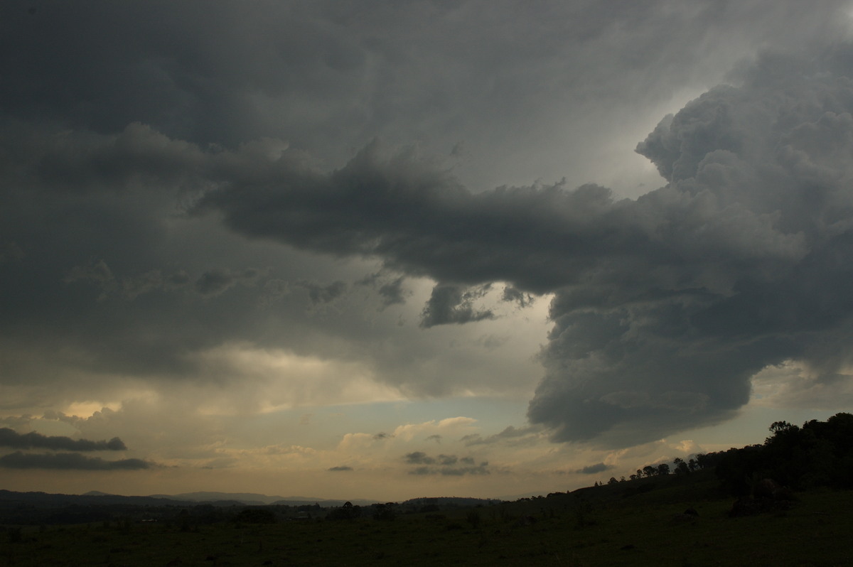 cumulus congestus : Wyrallah, NSW   8 October 2007