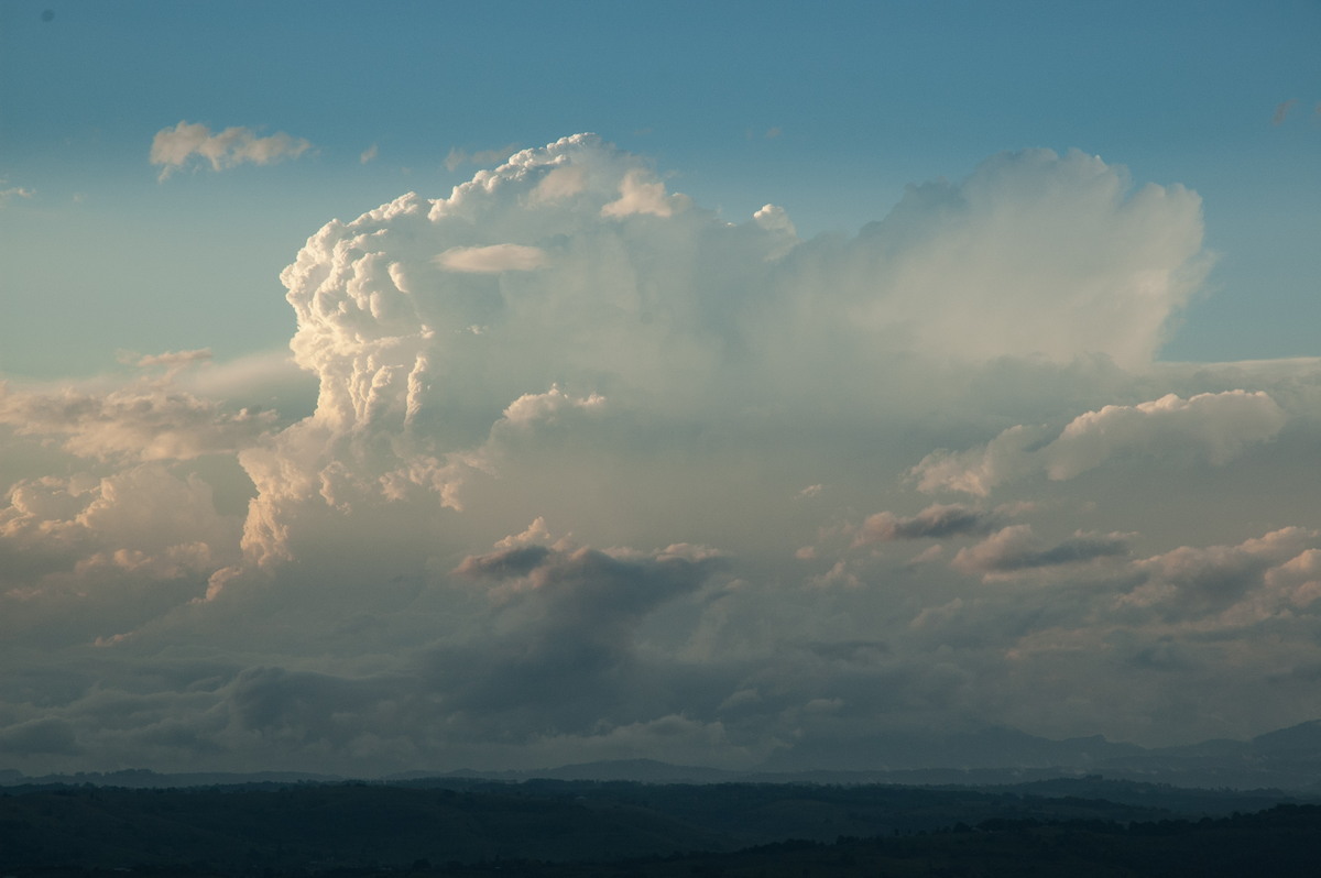 favourites michael_bath : McLeans Ridges, NSW   8 October 2007