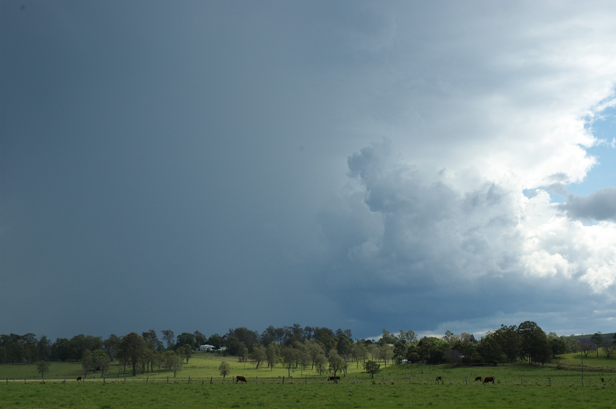 thunderstorm cumulonimbus_incus : NW of Casino, NSW   11 October 2007