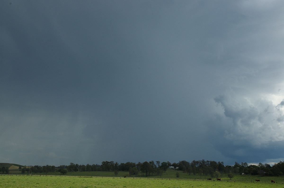 cumulonimbus thunderstorm_base : NW of Casino, NSW   11 October 2007