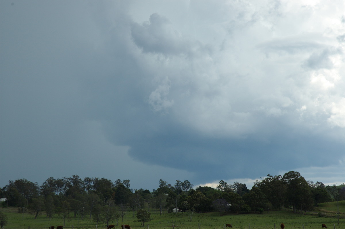 cumulonimbus thunderstorm_base : NW of Casino, NSW   11 October 2007