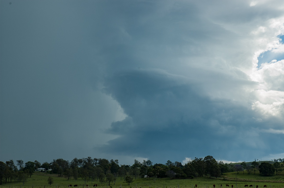 cumulonimbus thunderstorm_base : NW of Casino, NSW   11 October 2007