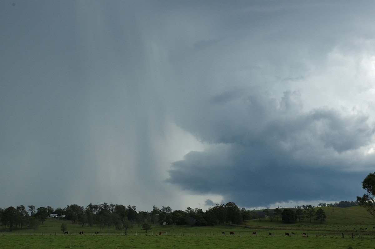 cumulonimbus thunderstorm_base : NW of Casino, NSW   11 October 2007