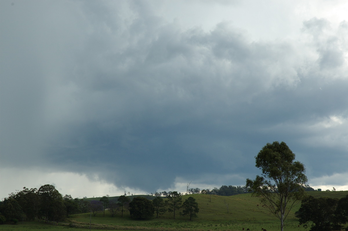 cumulonimbus thunderstorm_base : NW of Casino, NSW   11 October 2007