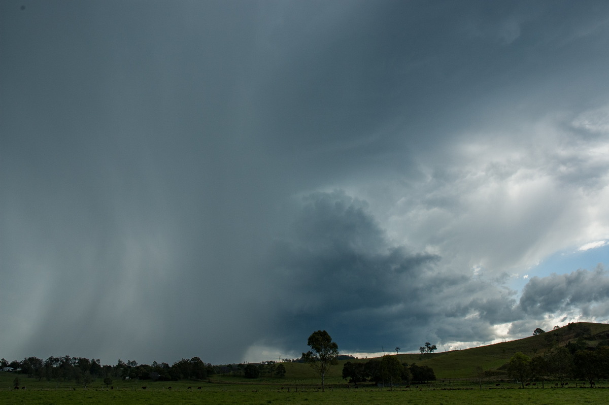 cumulonimbus thunderstorm_base : NW of Casino, NSW   11 October 2007