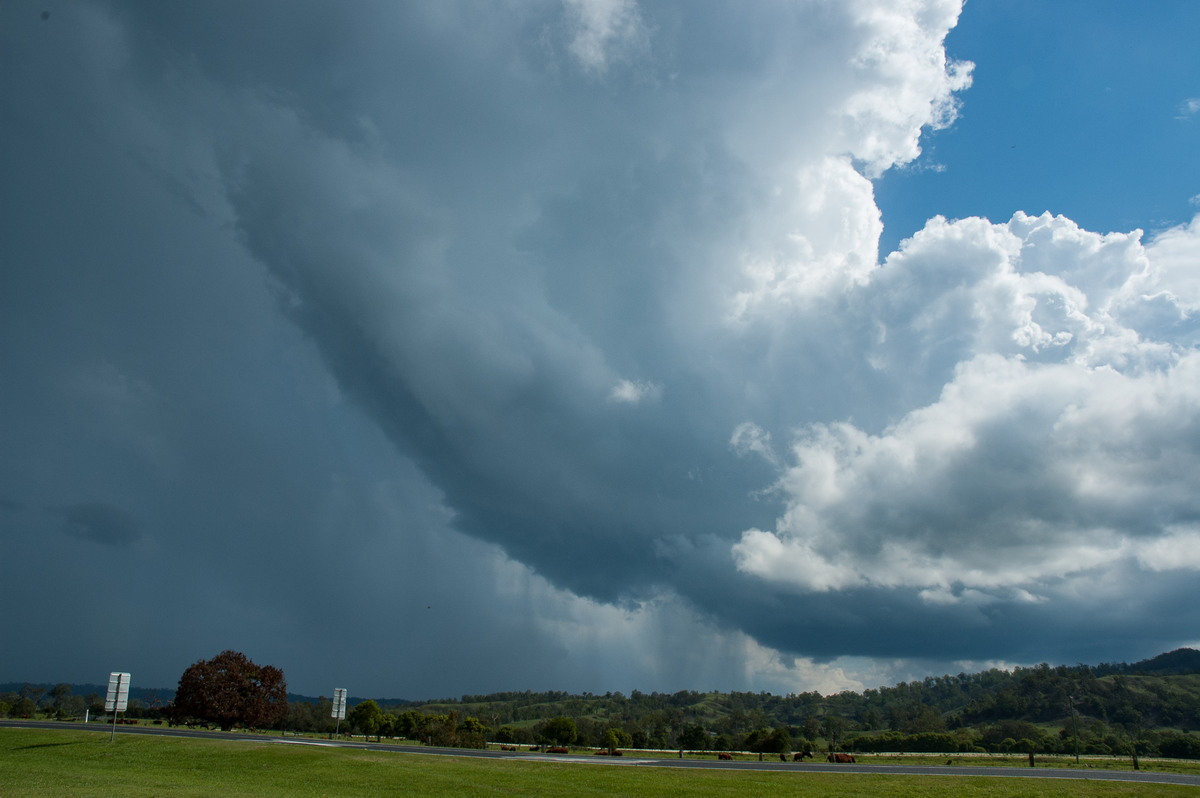 cumulonimbus thunderstorm_base : Wiangaree, NSW   11 October 2007