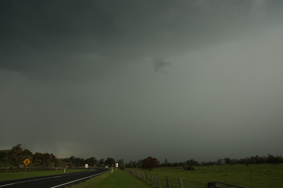 raincascade precipitation_cascade : Wiangaree, NSW   12 October 2007