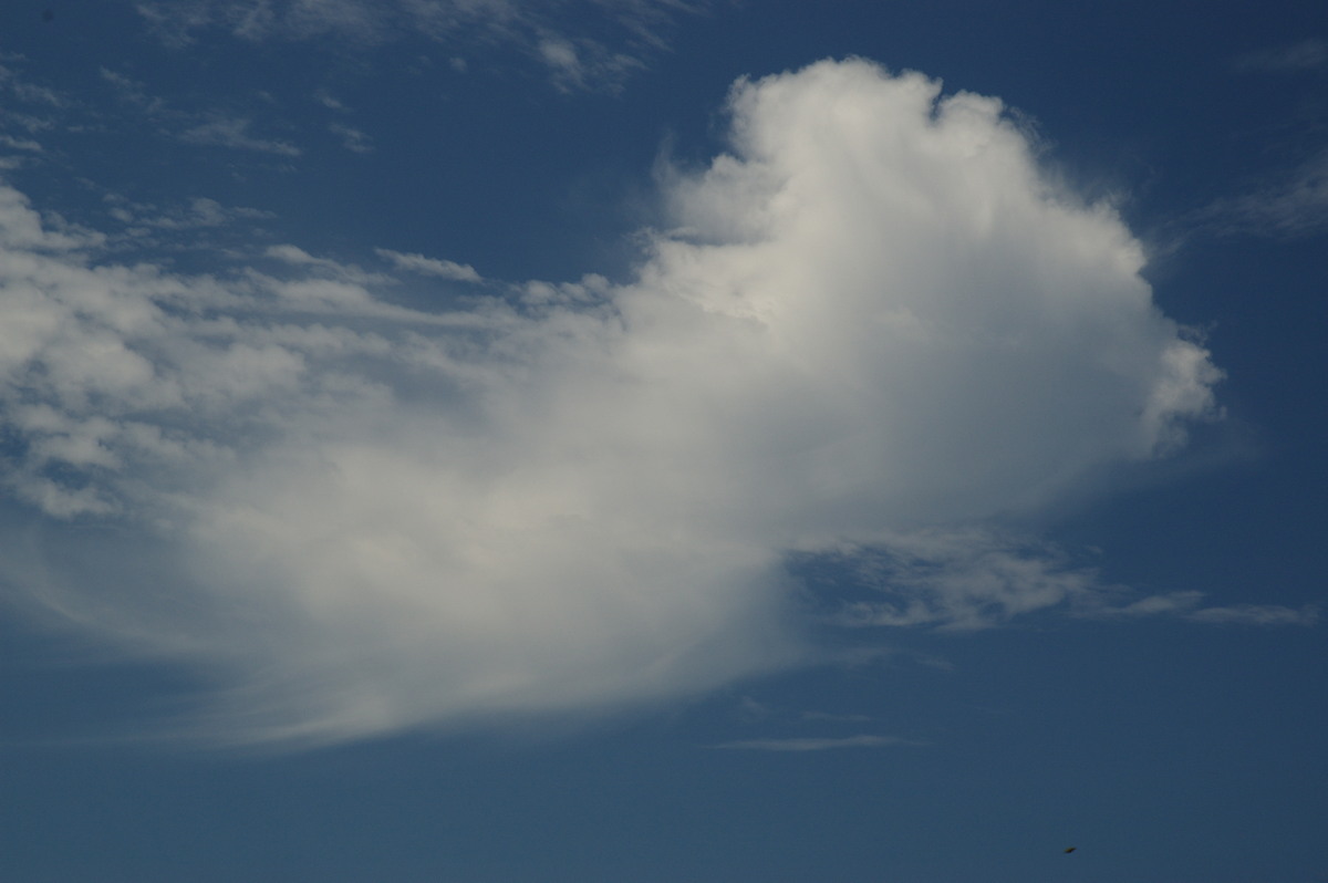 altocumulus castellanus : McLeans Ridges, NSW   24 October 2007