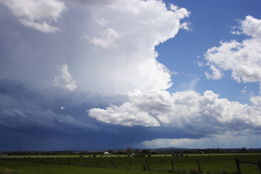 thunderstorm cumulonimbus_incus : Casino, NSW   26 October 2007