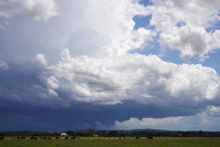 cumulonimbus supercell_thunderstorm : Casino, NSW   26 October 2007