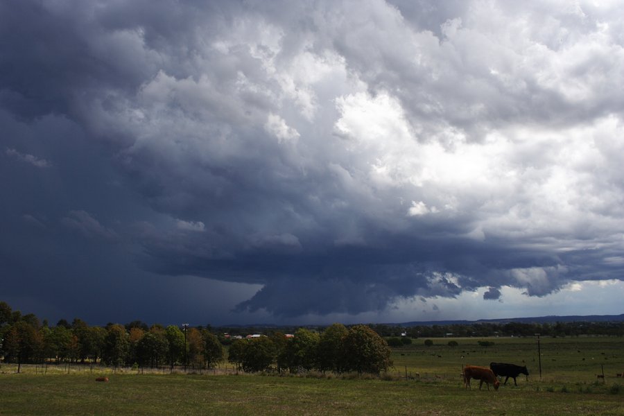 wallcloud thunderstorm_wall_cloud : Casino, NSW   26 October 2007