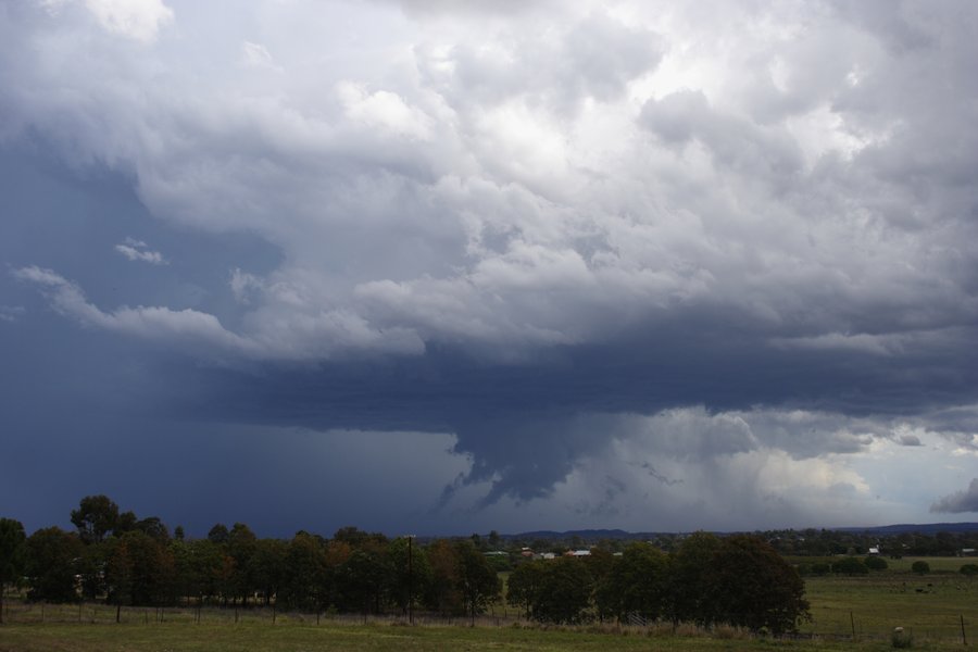 inflowband thunderstorm_inflow_band : Casino, NSW   26 October 2007