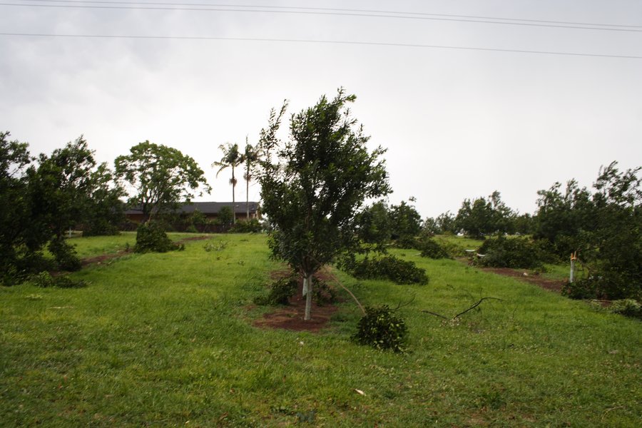 disasters storm_damage : Dunoon, NSW   26 October 2007