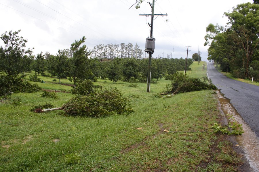 disasters storm_damage : Dunoon, NSW   26 October 2007