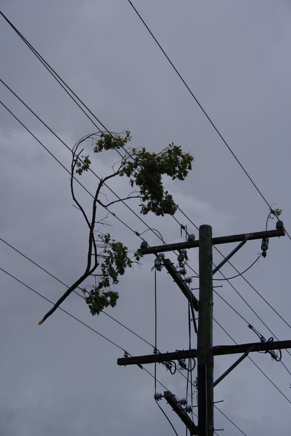 disasters storm_damage : Dunoon, NSW   26 October 2007