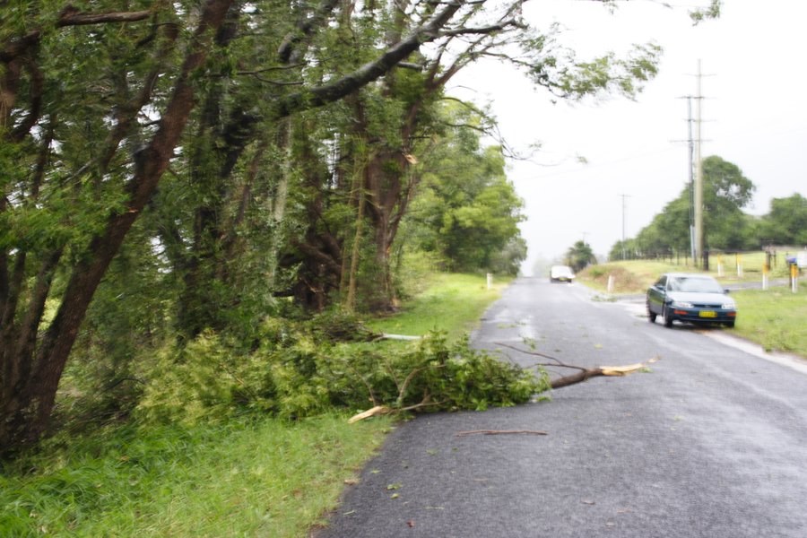 disasters storm_damage : Dunoon, NSW   26 October 2007