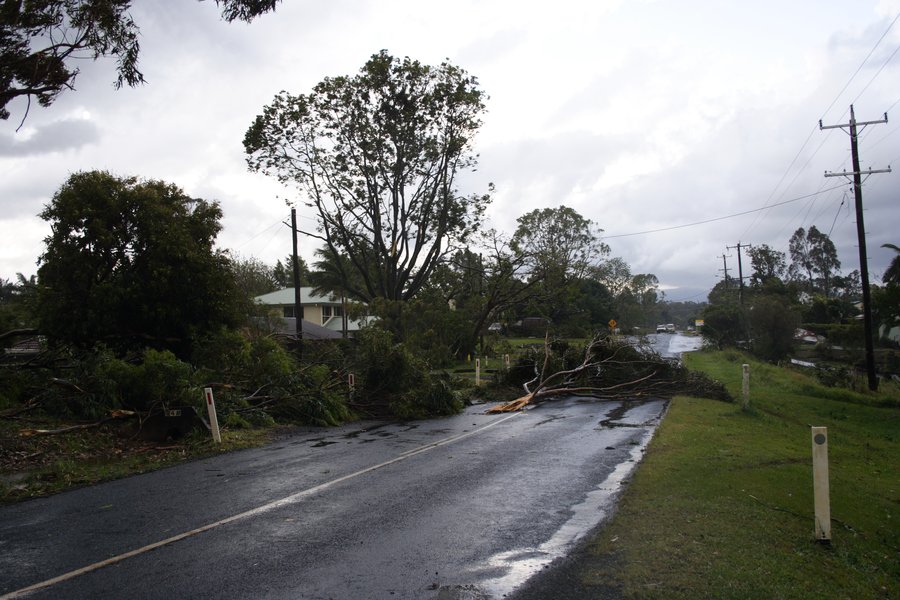 disasters storm_damage : Dunoon, NSW   26 October 2007