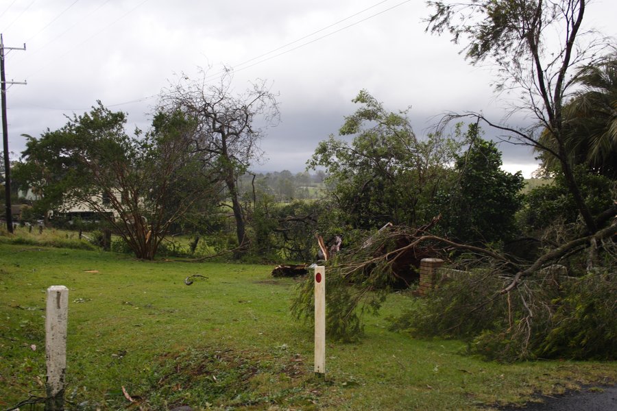 disasters storm_damage : Dunoon, NSW   26 October 2007