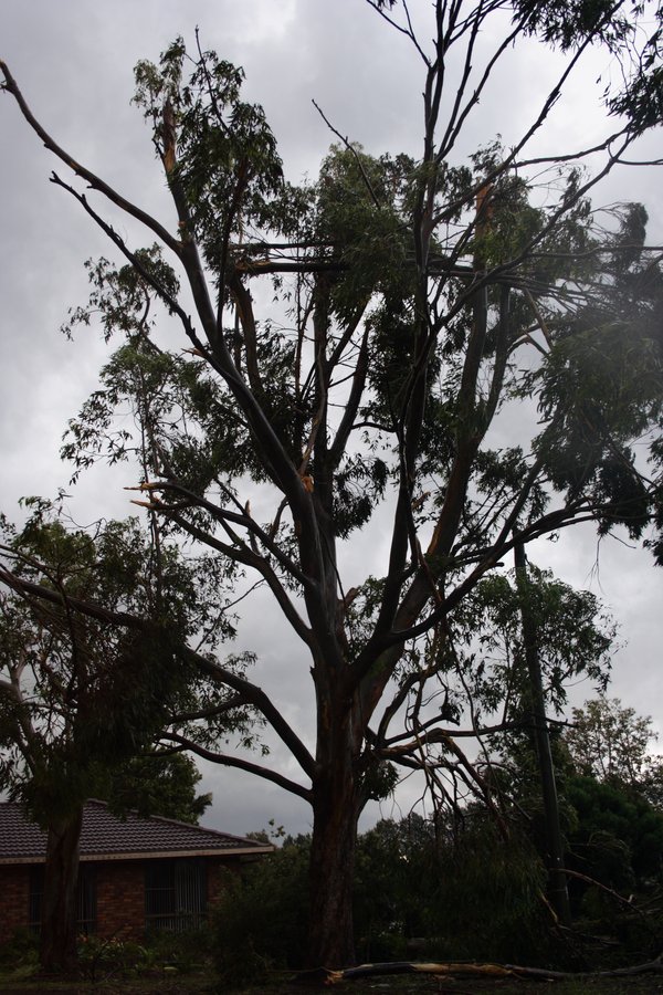 disasters storm_damage : Dunoon, NSW   26 October 2007