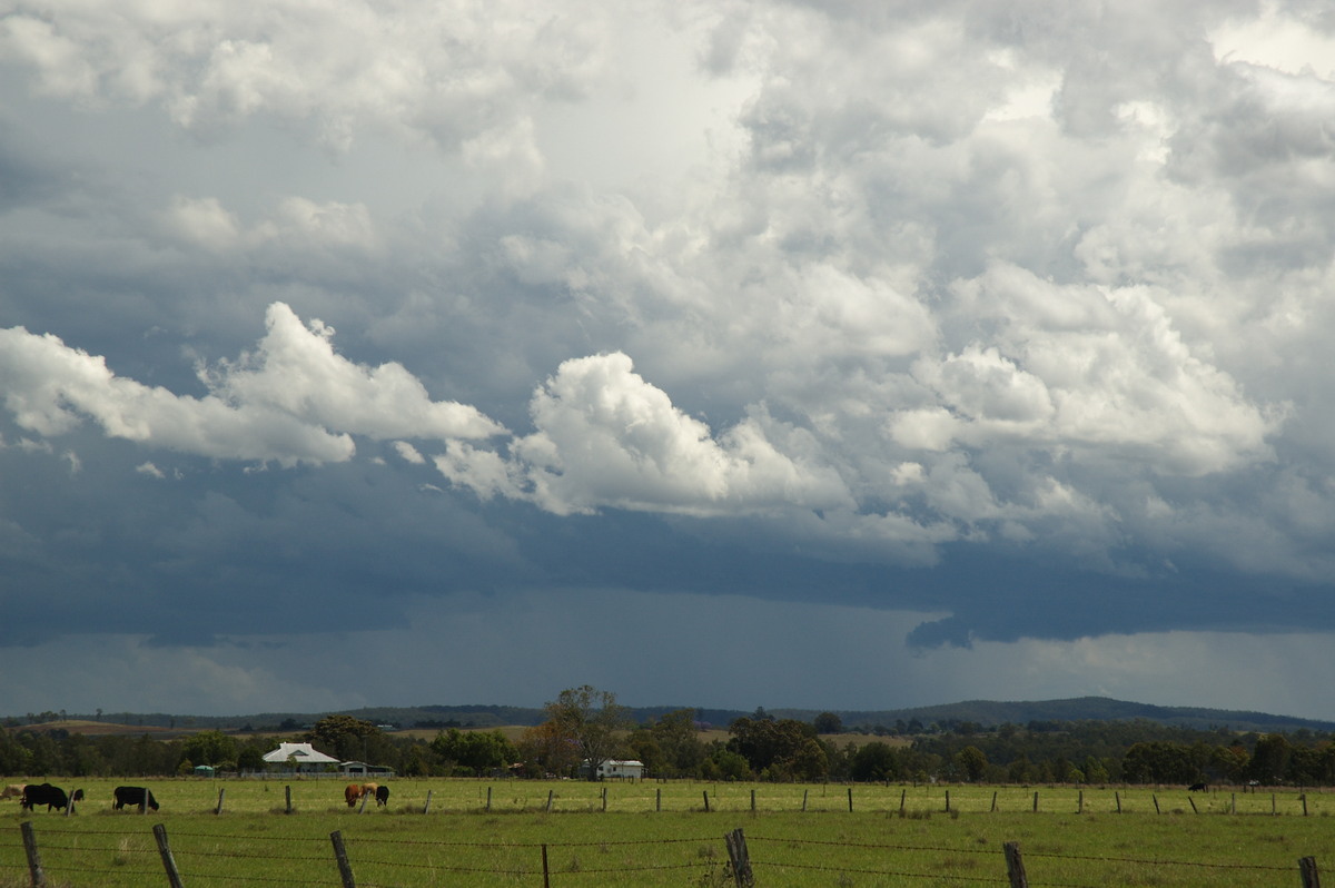 cumulonimbus thunderstorm_base : N of Casino, NSW   26 October 2007