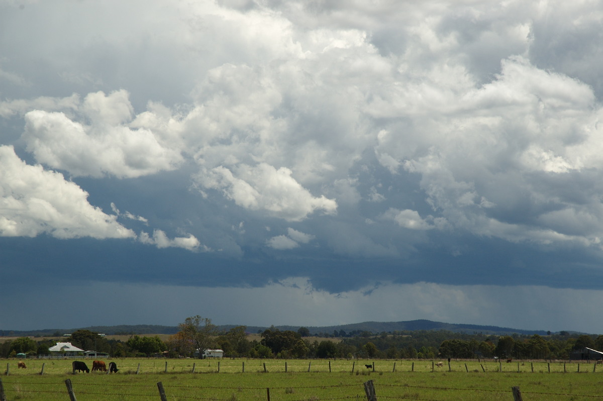 cumulonimbus thunderstorm_base : N of Casino, NSW   26 October 2007