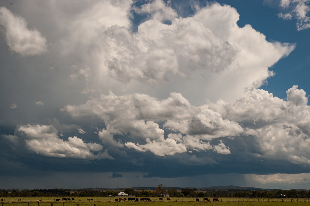 cumulonimbus thunderstorm_base : N of Casino, NSW   26 October 2007