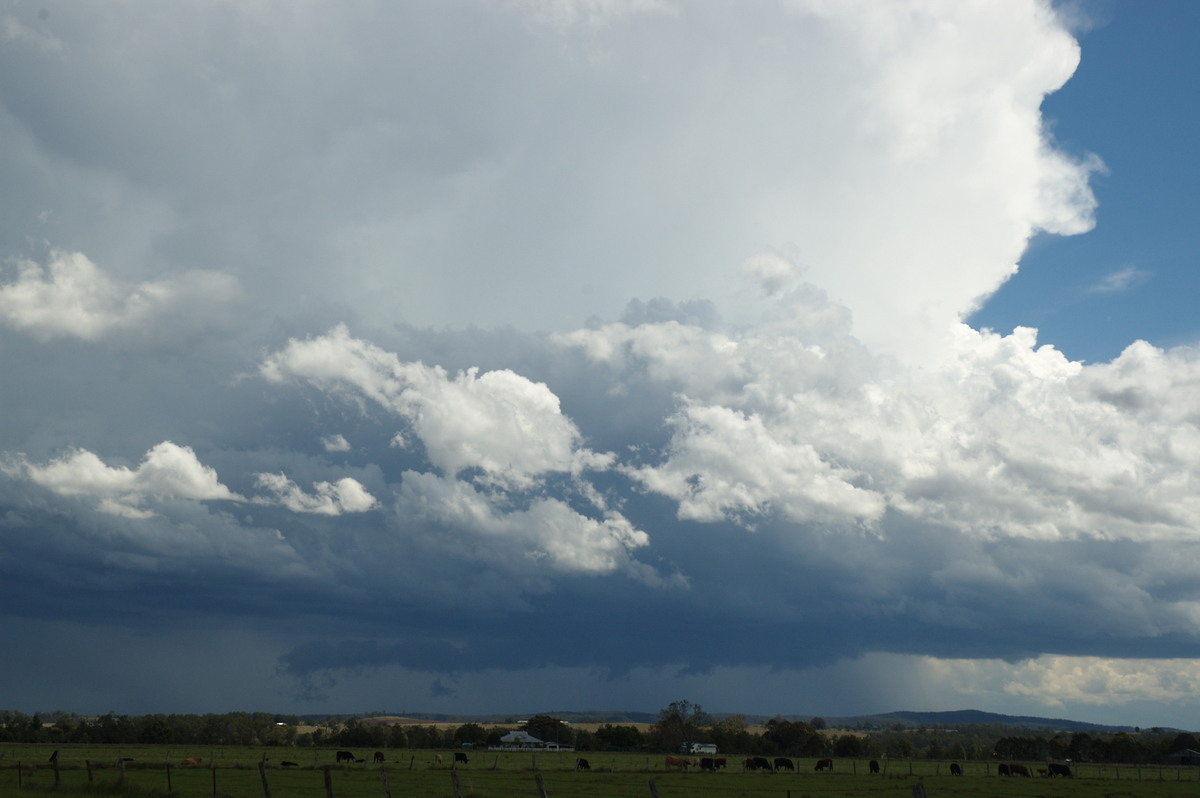 cumulonimbus thunderstorm_base : N of Casino, NSW   26 October 2007