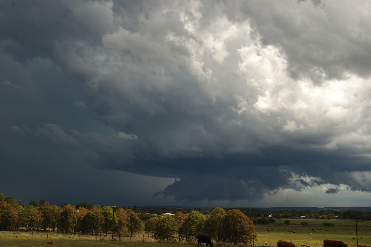 cumulonimbus supercell_thunderstorm : Casino, NSW   26 October 2007